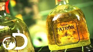 TEQUILA | How It's Made