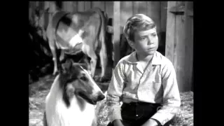 Lassie - Episode #295 - "Home within A Home" - Season 9, Ep. 4 - 10/21/1962