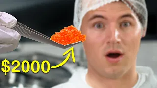 I Visited A Caviar Farm