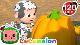 Pumpkin Patch Adventure with JJ! | Animals for Kids | Animal Cartoons | Funny Cartoons