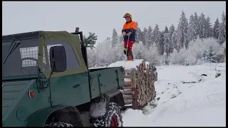 Unimog 411 zieht vollen Rückeschlitten den Berg herunter. Die bekloppten Brüder... im Sauerland