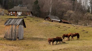 Life in The Mountains. A Large Family Lives Far Away From Civilization at The Edge of The World