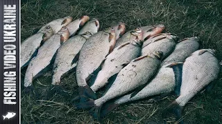 О ТАКОЙ РЫБАЛКЕ МЕЧТАЕТ КАЖДЫЙ РЫБАК | FishingVideoUkraine