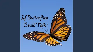 If Butterflies Could Talk