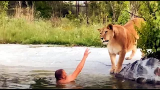 Решил ИСКУПАТЬСЯ СРЕДИ ЛЬВОВ! I DECIDED TO SWIM AMONG THE LIONS !