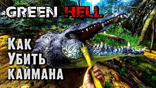 Как убить каймана в Green Hell