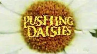 Cabecera Pushing Daisies