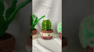 Crochet indoor plants - String of pearl, snake plant, succulent, fish bone, cactus and Echeveria