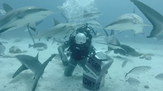 GoPro: Shark Feeding with Andy Casagrande in 2.7K 3D