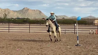 How to train a shooting horse Step 4