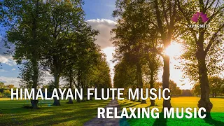 Morning Flute Music | Himalayan Flute Music | Meditation Music | (बाँसुरी) Aparmita Ep. 114