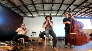 HARMONICA "Oh Susanna " (Steven Forster ) - Julian James and the Moonshine State