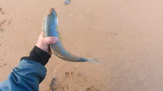 Beach fishing windy and extremely windy