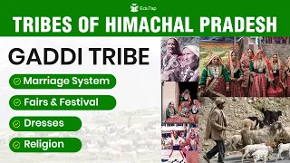 Tribes of Himachal Pradesh | Gaddi Tribe of Himachal | Famous Himachal Tribes | Himachal GK | HPAS