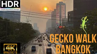 4K HDR GECKO WALK BANGKOK Pathum Wan (ปทุมวัน) LUMPHINI PARK
