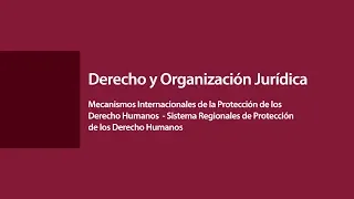 Mecanismos Internacionales de la Protección de los Derecho Humanos (Parte 1)