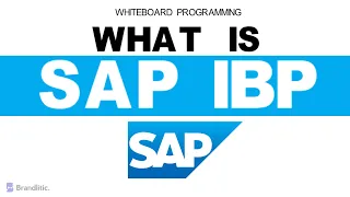 What is SAP IBP Explained | Introduction to SAP IBP Overview & Basics