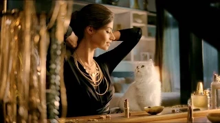 Gourmet Gold jewellery commercial