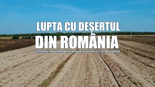 Lupta cu Deșertul din România