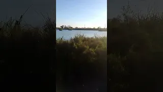 tosquera EZPELETA una laguna hermosa para pescar y pasar el día (1)