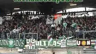 Lask - Rapid Wien , 06.04.2008