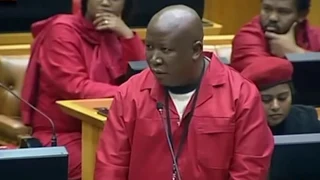 Pay Back The Money Funny REMIX. Parliament EFF Malema Style.