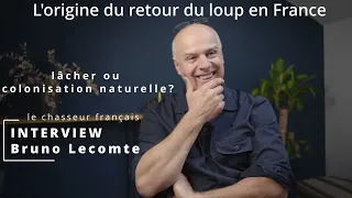 l'origine du retour du loup