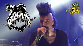 ▲Broncats - Live at the Psychobilly Meeting 2017