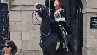 Horse spooked guard shouts and moves horse at tourist in the way #thekingsguard