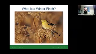 PSO Educational Webinar Series: Winter Finches