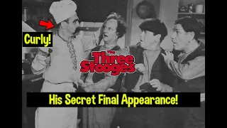 Curly's Final SECRET Appearance On the Three Stooges THAT You ABSOLUTELY DID NOT See!