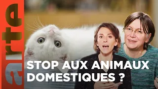 Faut-il libérer les animaux domestiques ? | Les idées larges | ARTE