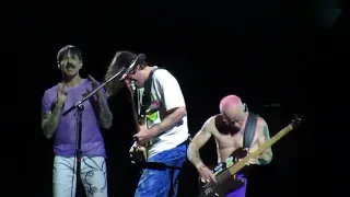 Red Hot Chili Peppers - Eddie (Live in Tokyo 2024)