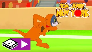 Tom și Jerry | Câștigătorul concursului canin! | Cartoonito