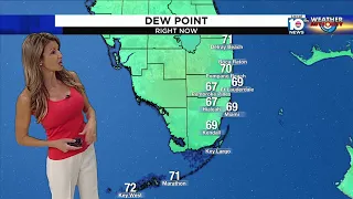Local 10 News Weather Brief: 03/27/2023 Morning Edition