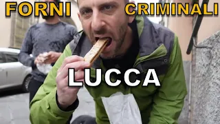 Forni criminali LUCCA