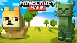 Minecraft Mania - DOGE