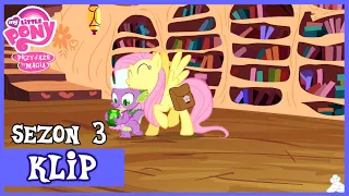 Spike Opiekun | My Little Pony | Sezon 3 | Odcienk 11 | Tylko dla Pomocników | FULL HD