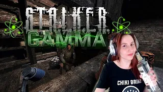 STALKER: GAMMA | Loner Let's Play | Episode 01: Into the Swamps