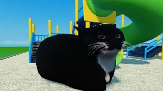 Maxwell the cat on the Playground