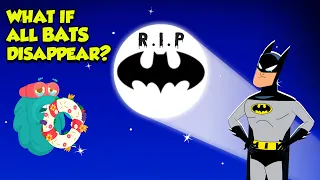 What if all Bats Disappeared?। Why Bats Are Important To The Environment । The Dr. Binocs Show