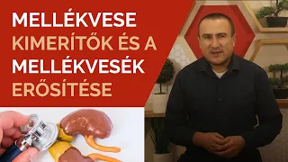 Mellékvese kimerítők és a Mellékvesék erősítése