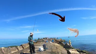 Jetty fishing with live shrimp                                        #spi #jettyfishing #fishing