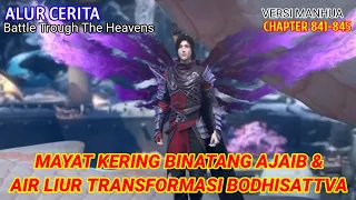 Battle Trough The Heavens Chapter 841-845 | Mayat Kering Binatang Ajaib.