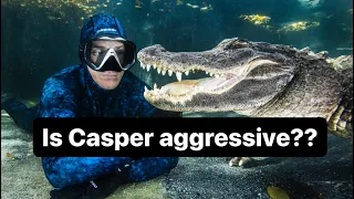 Is Casper aggressive??