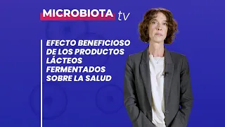 Efecto beneficioso de los productos lácteos fermentados sobre la salud