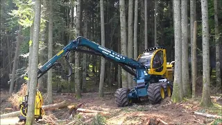 Amazing and powerful machine Forest Harvesters in the World 3