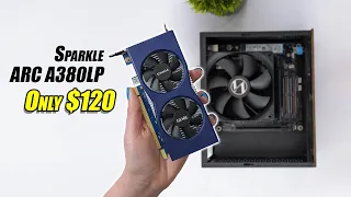 One Of The BEST Budget Low Profile Graphics Cards You Can Buy! Sparkle A380 LP Hands On