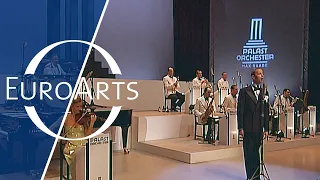 Max Raabe, Palast Orchester: Ich lass’ mir meinen Körper schwarz bepinseln | Live in Berlin (12/32)