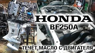 HONDA 250 outboard motor. Flowing the oil engine